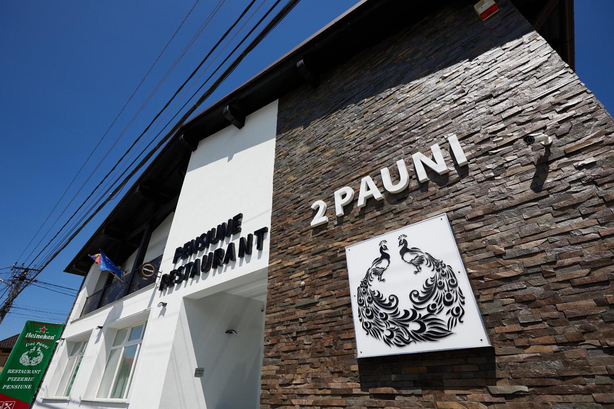 Pensiune Restaurant Pizzerie 2 Pauni Borsa  Exterior photo